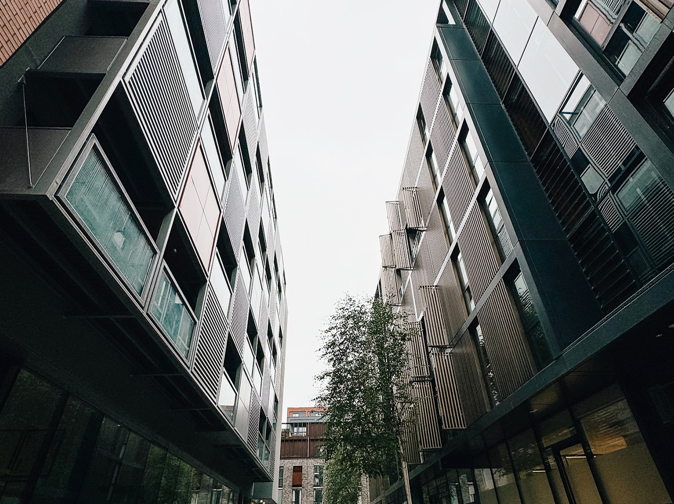 Moho-Manchester-4